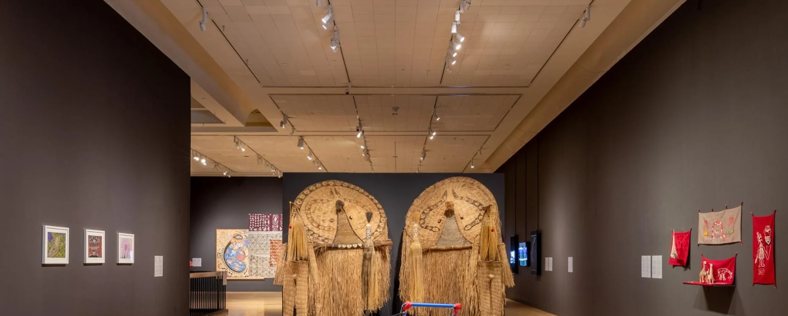 Contemporary Indigenous Art of Brazil Comes to Tufts